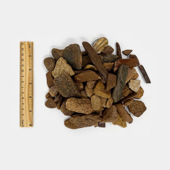 Texas Fossil Bone Fragments - Picture 1 of 2